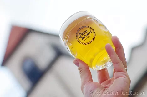 Beerfest - Pivobraní